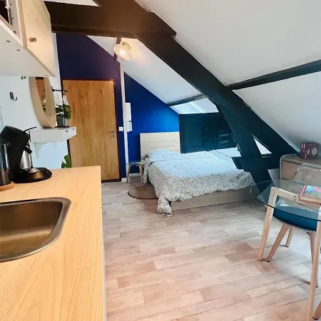 Les Studios De La Villa Jules Verne Amiens Buitenkant foto