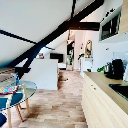 Les Studios De La Villa Jules Verne Amiens Buitenkant foto